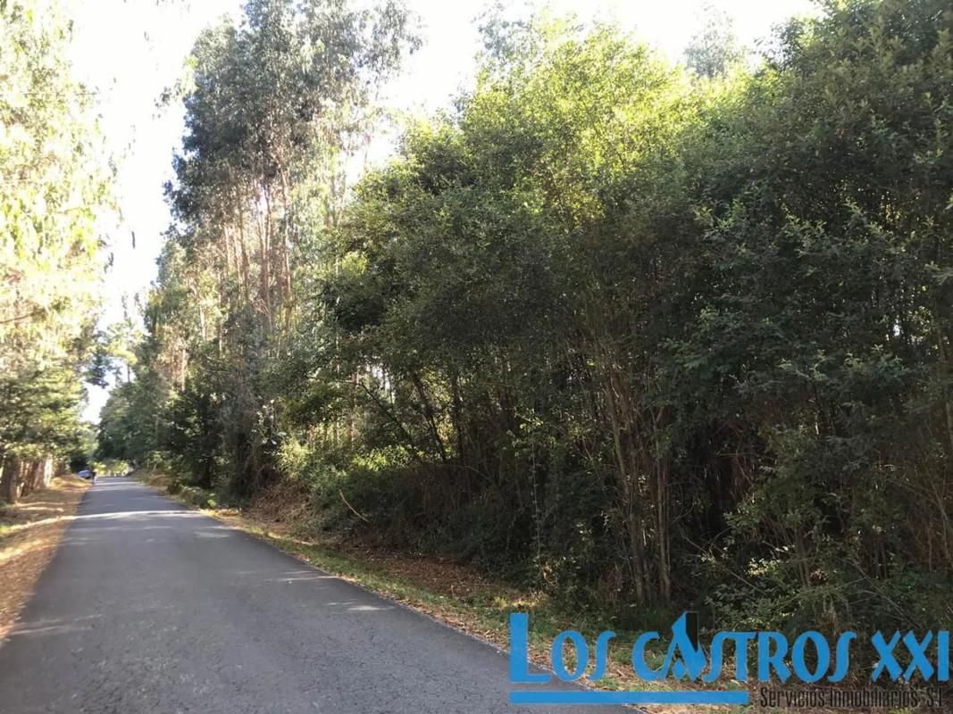 Terreno en venta en Maside, Ourense photo 5
