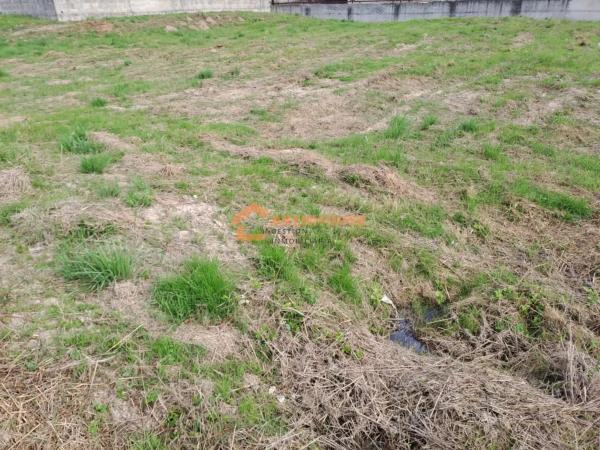 Terreno en Maside photo 1