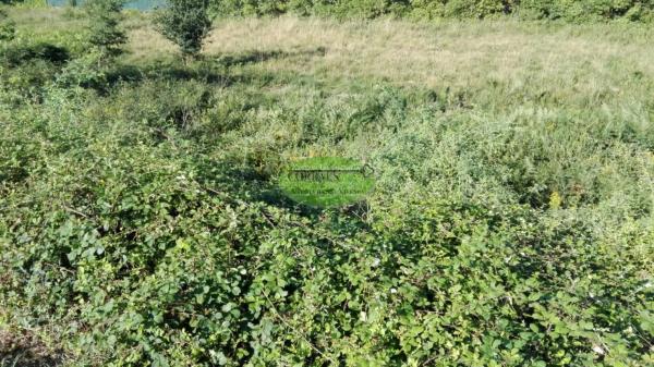 Terreno en Maside photo