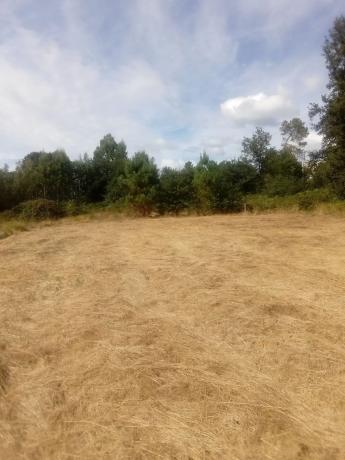 Terreno en Bouzas s/n photo 3
