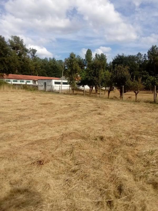 Terreno en venta en Maside, Ourense photo 4