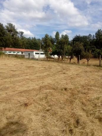 Terreno en Bouzas s/n photo 4