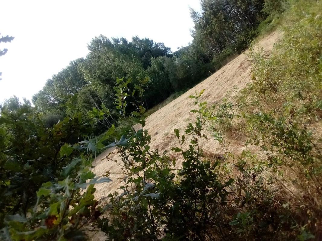 Terreno en venta en Maside, Ourense photo 5
