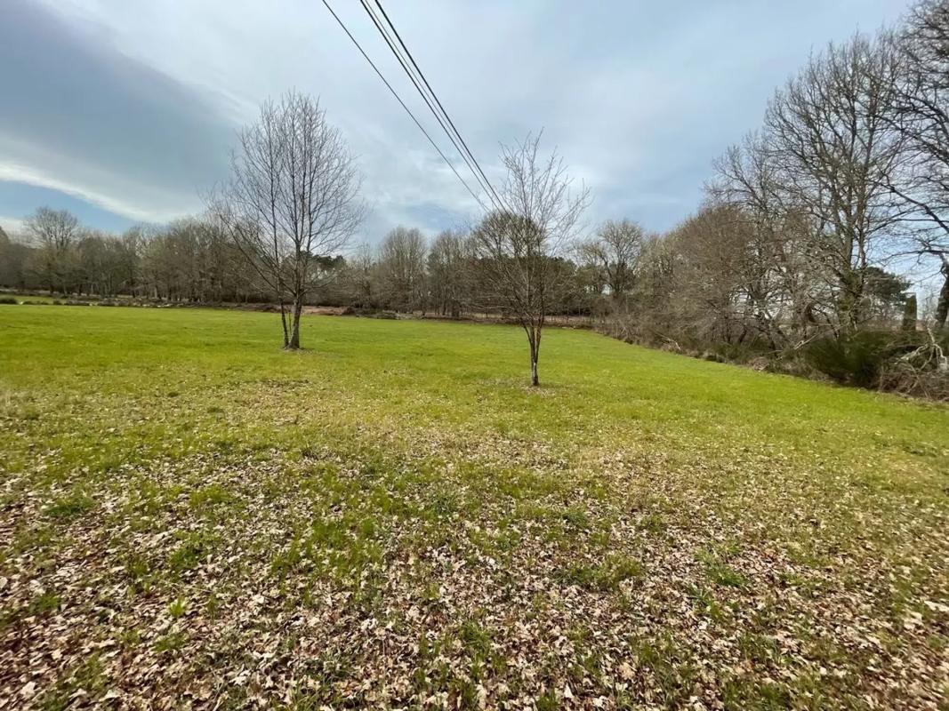 Terreno en venta en Maside, Ourense photo 2