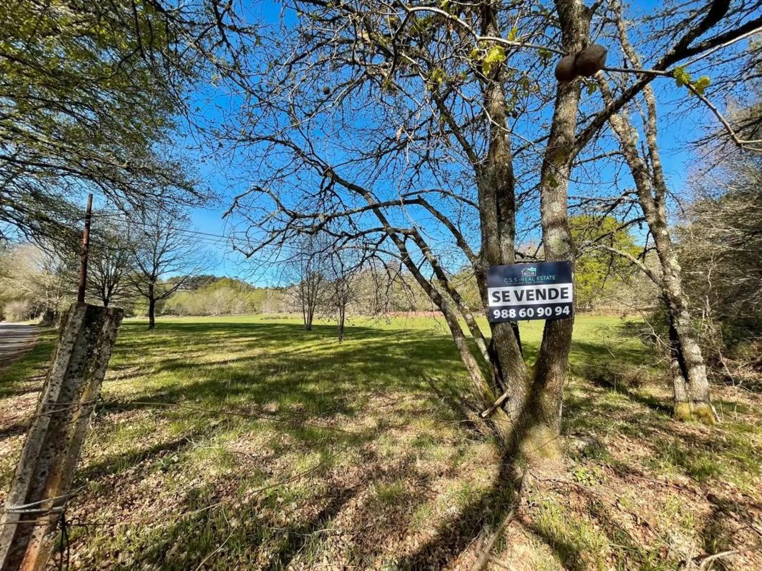 Terreno en venta en Maside, Ourense photo 3