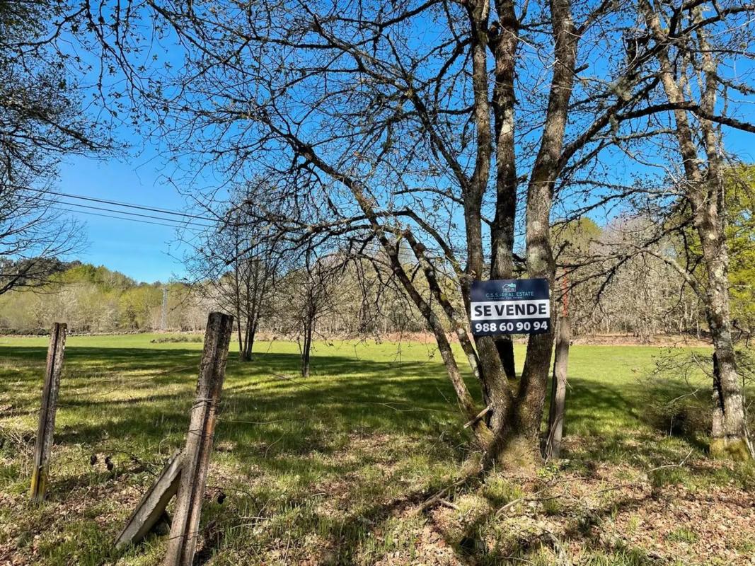 Terreno en venta en Maside, Ourense photo 4