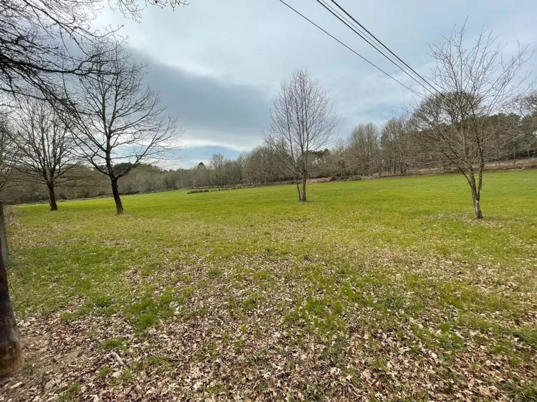 Terreno en venta en Maside, Ourense photo 5