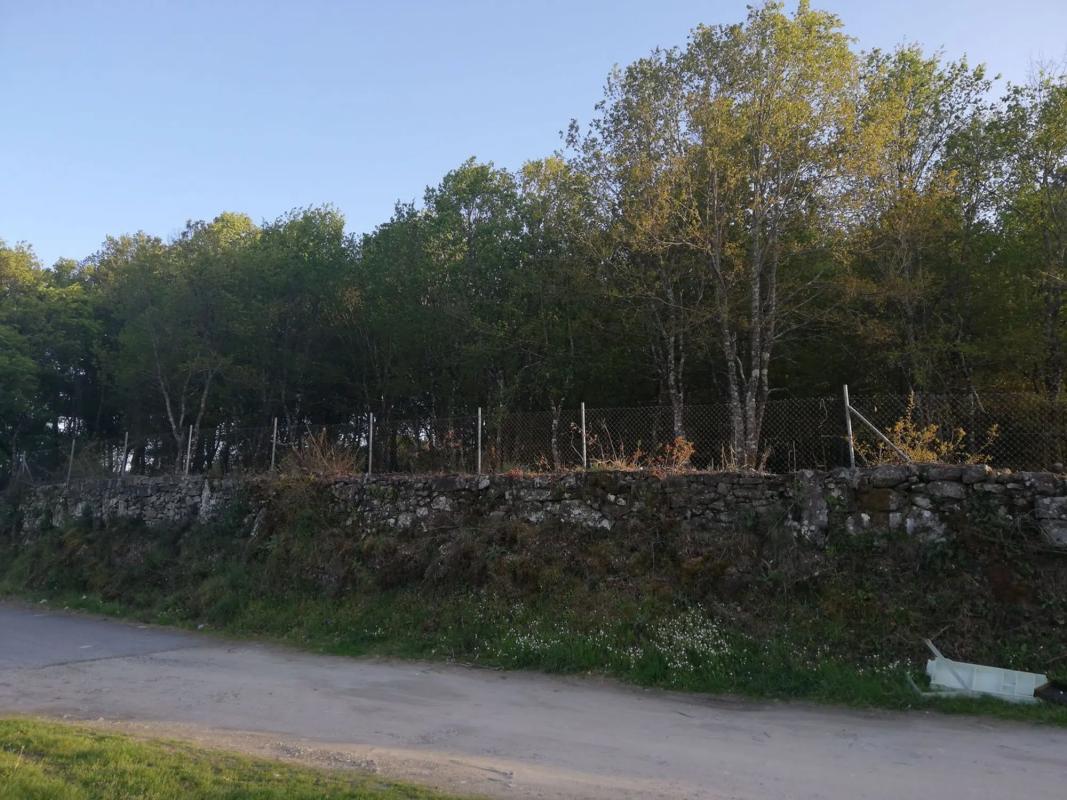 Terreno en venta en Maside, Ourense photo 5