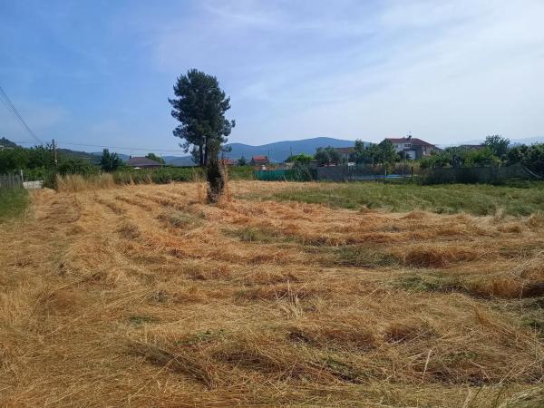 Terreno en Polígono 504 Parcela 608 a Palleiros. Monterrei (ourense), 504 PolgonoParcelaAPALLEIROS photo 2