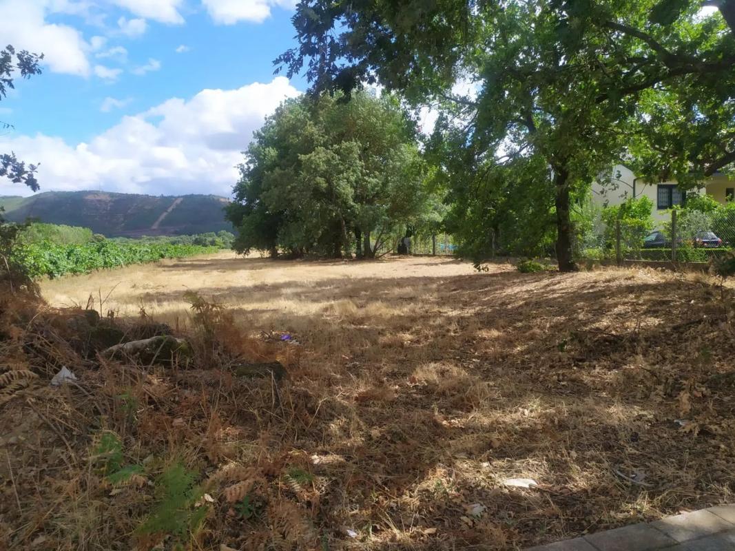 Działka na sprzedaż w Monterrei, Ourense photo 4