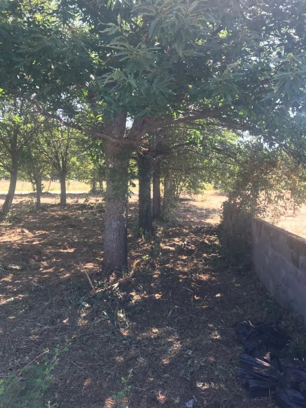 Terreno en venta en Monterrei, Ourense photo 3