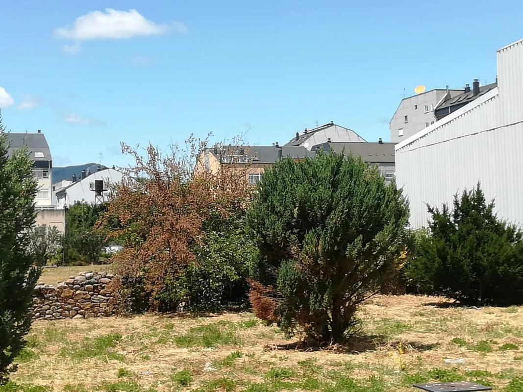 Terreno en venta en O Barco de Valdeorras, Ourense photo 3