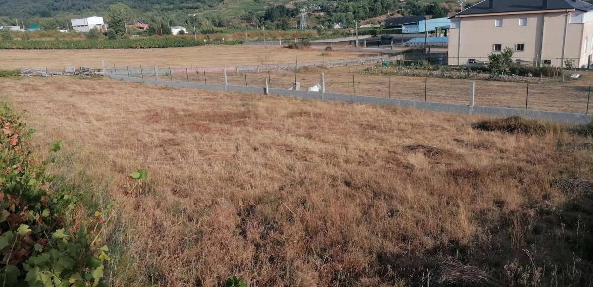 Terreno en venta en O Barco de Valdeorras, Ourense photo 3