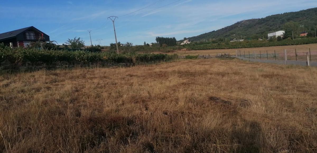Terreno en venta en O Barco de Valdeorras, Ourense photo 4