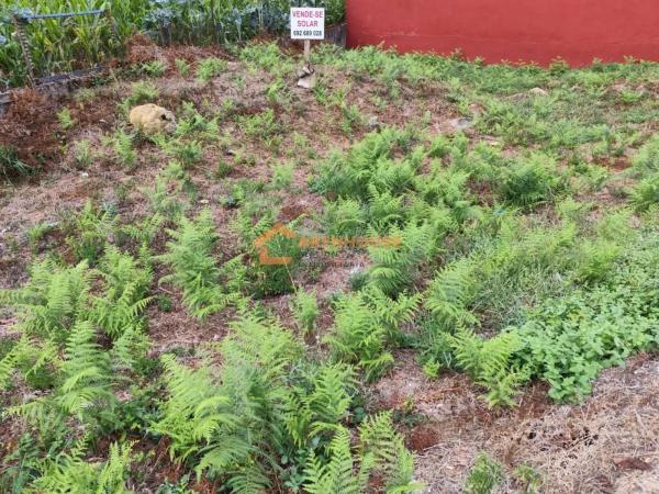 Terreno en O Carballiño photo 1