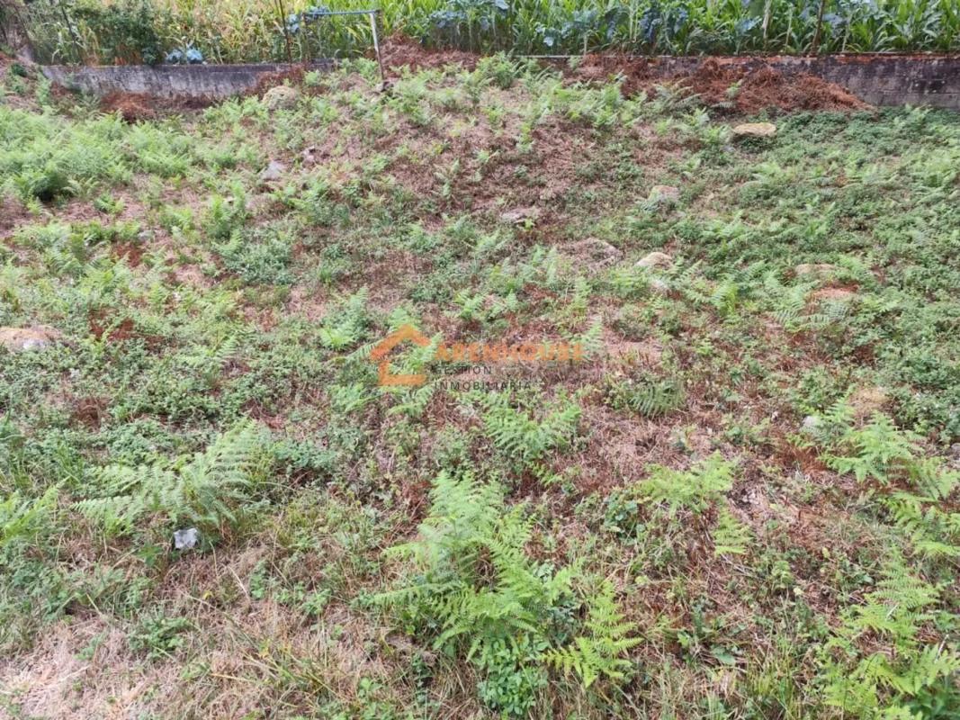 Terreno en venta en O Carballiño, Ourense photo 4