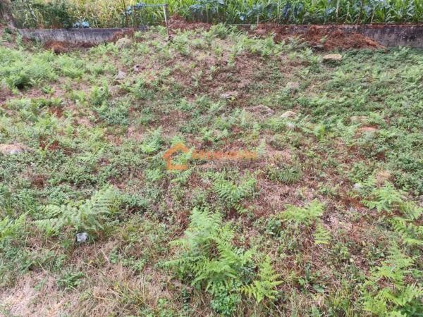 Terreno en O Carballiño photo 4