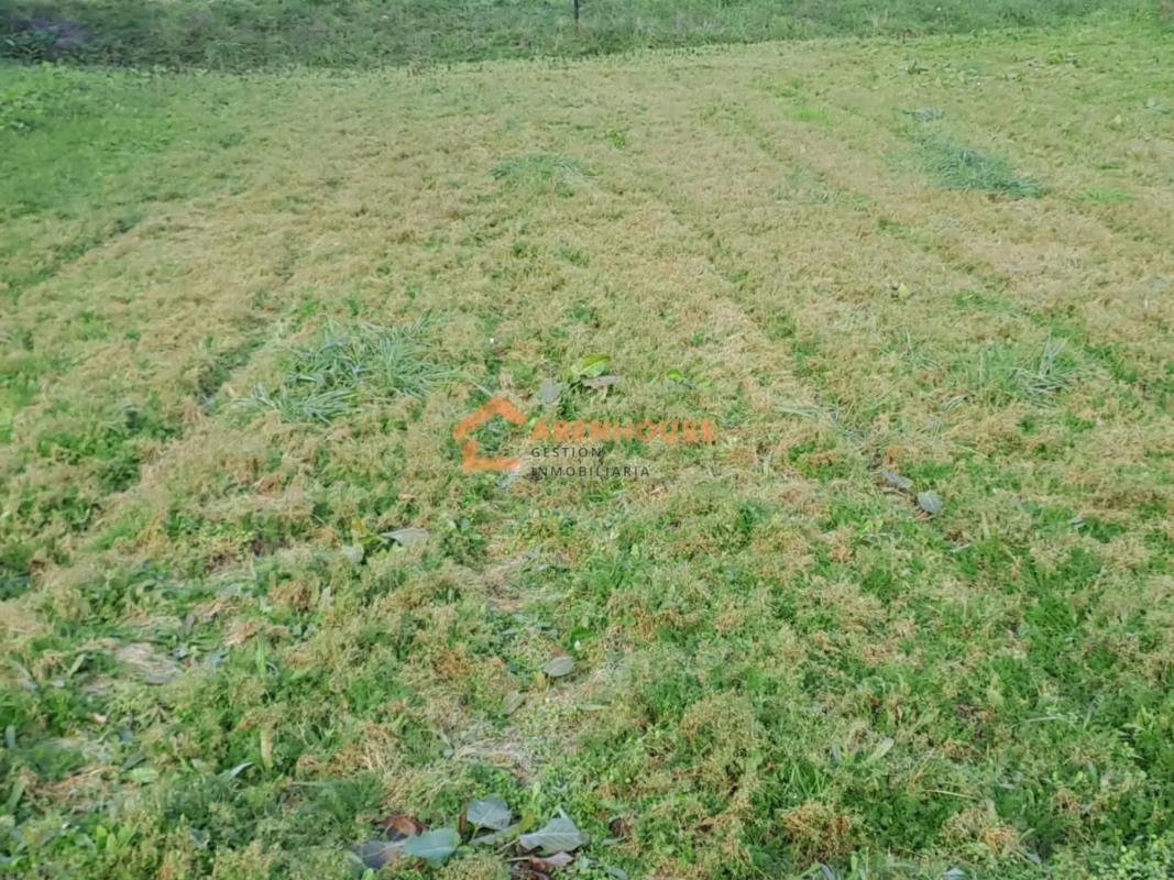 Terreno en venta en O Carballiño, Ourense photo 1