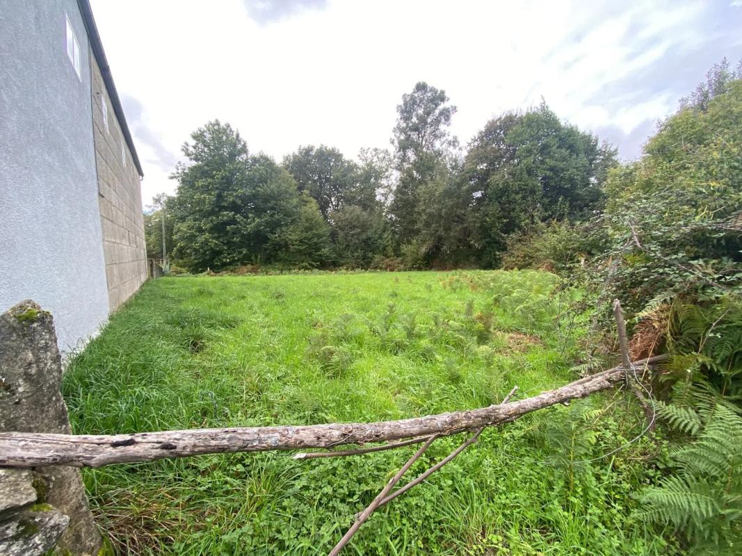 Terreno en venta en O Carballiño, Ourense photo 1