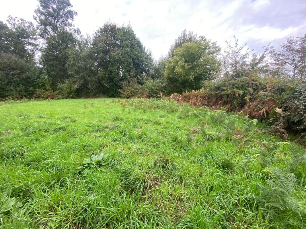 Terreno en venta en O Carballiño, Ourense photo 3