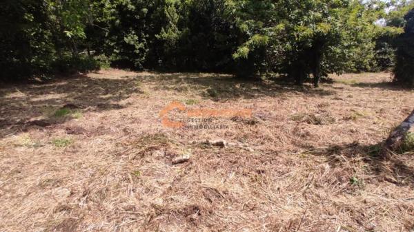 Terreno en O Carballiño photo