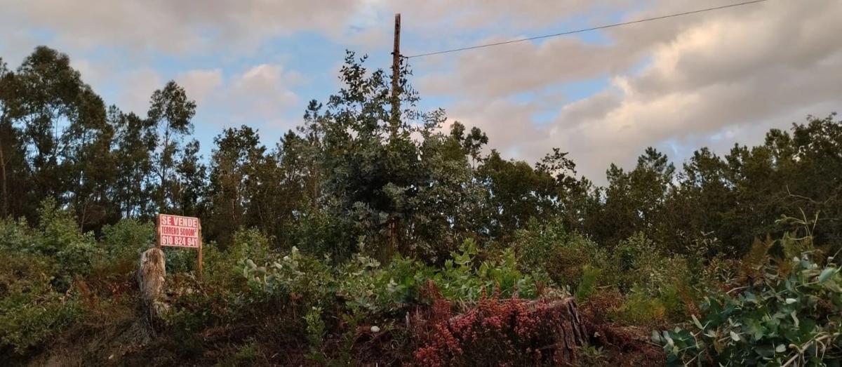 Terreno en venta en O Carballiño, Ourense photo 2