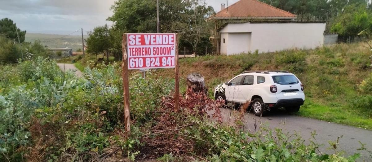 Terreno en venta en O Carballiño, Ourense photo 3