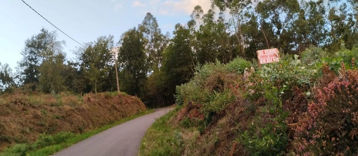 Terreno en venta en O Carballiño, Ourense photo 4