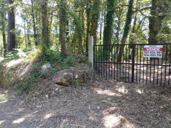 Terreno en Caldas de Partovia photo 3