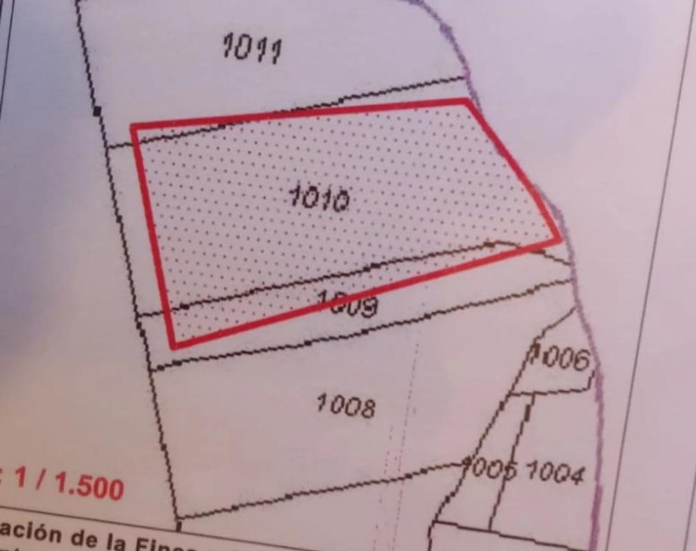 Terreno en venta en O Carballiño, Ourense photo 1