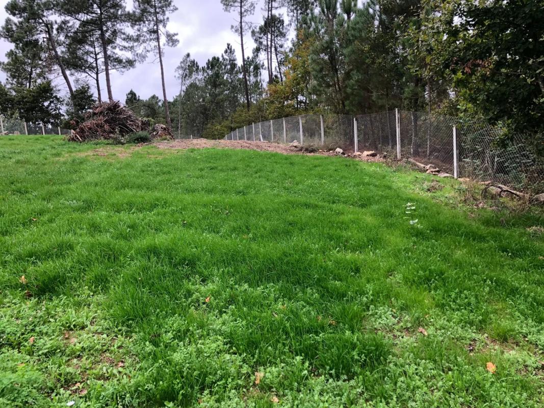 Land for sale in The Carballiño, Ourense photo 3