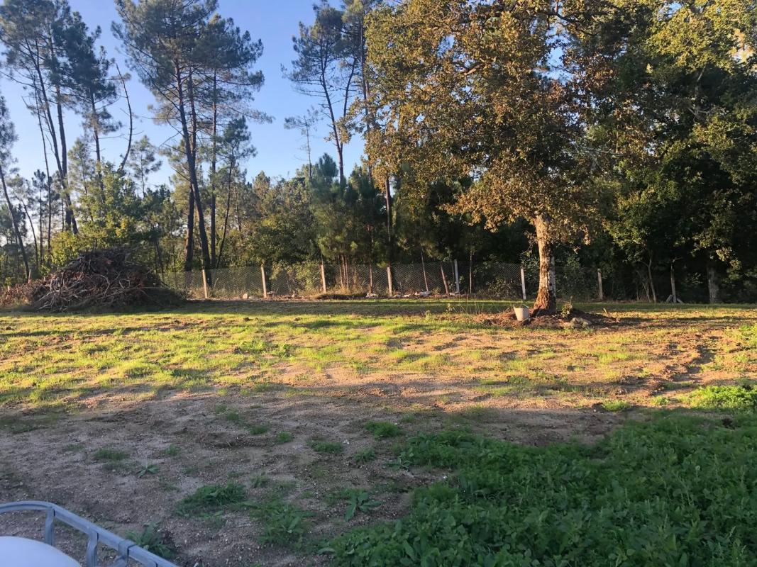 Land for sale in The Carballiño, Ourense photo 5