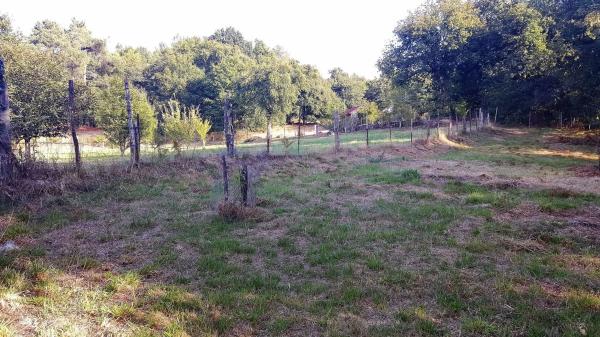 Terreno en Lugar Covelo, 1 photo 2
