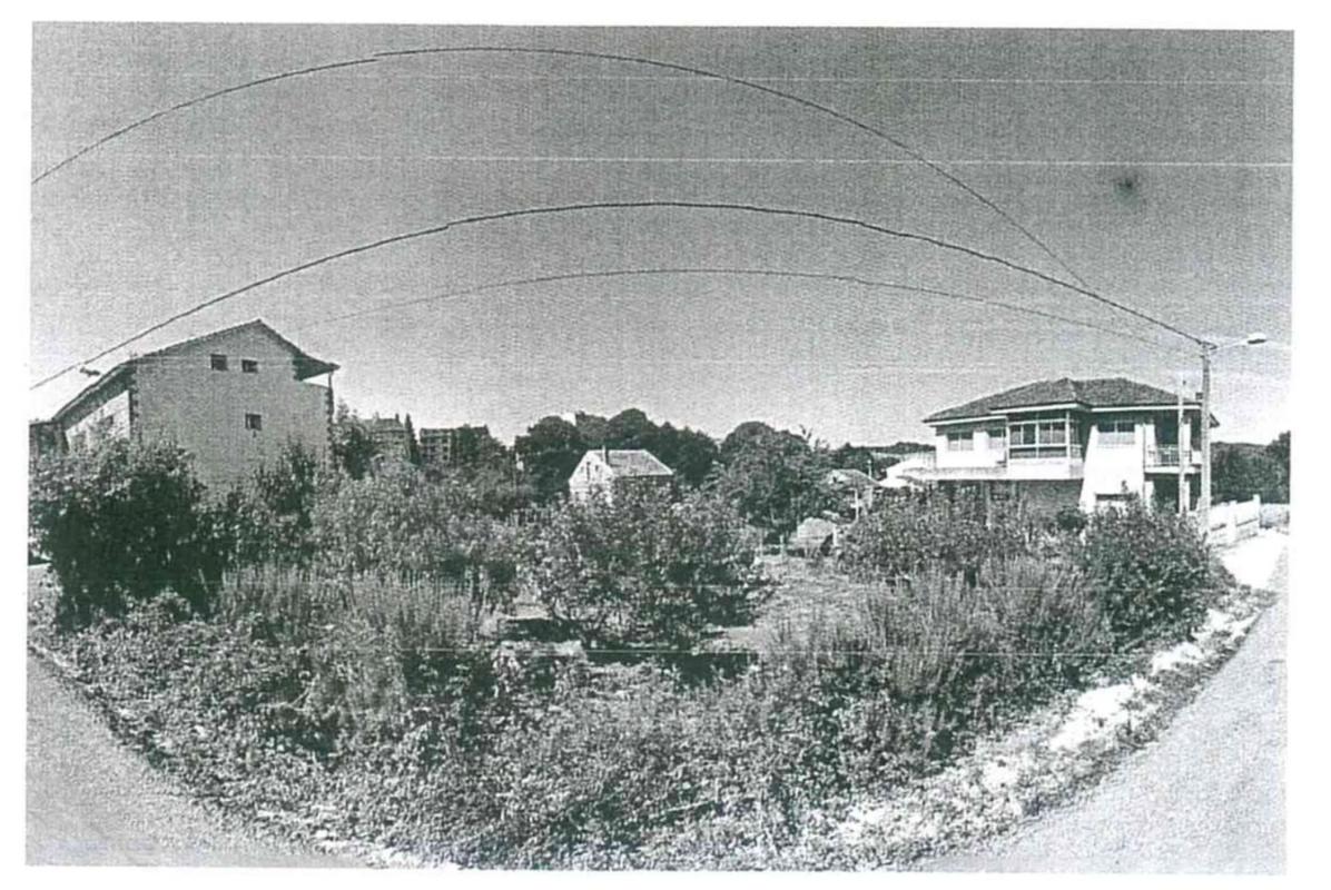 Land for sale in The Carballiño, Ourense photo 4