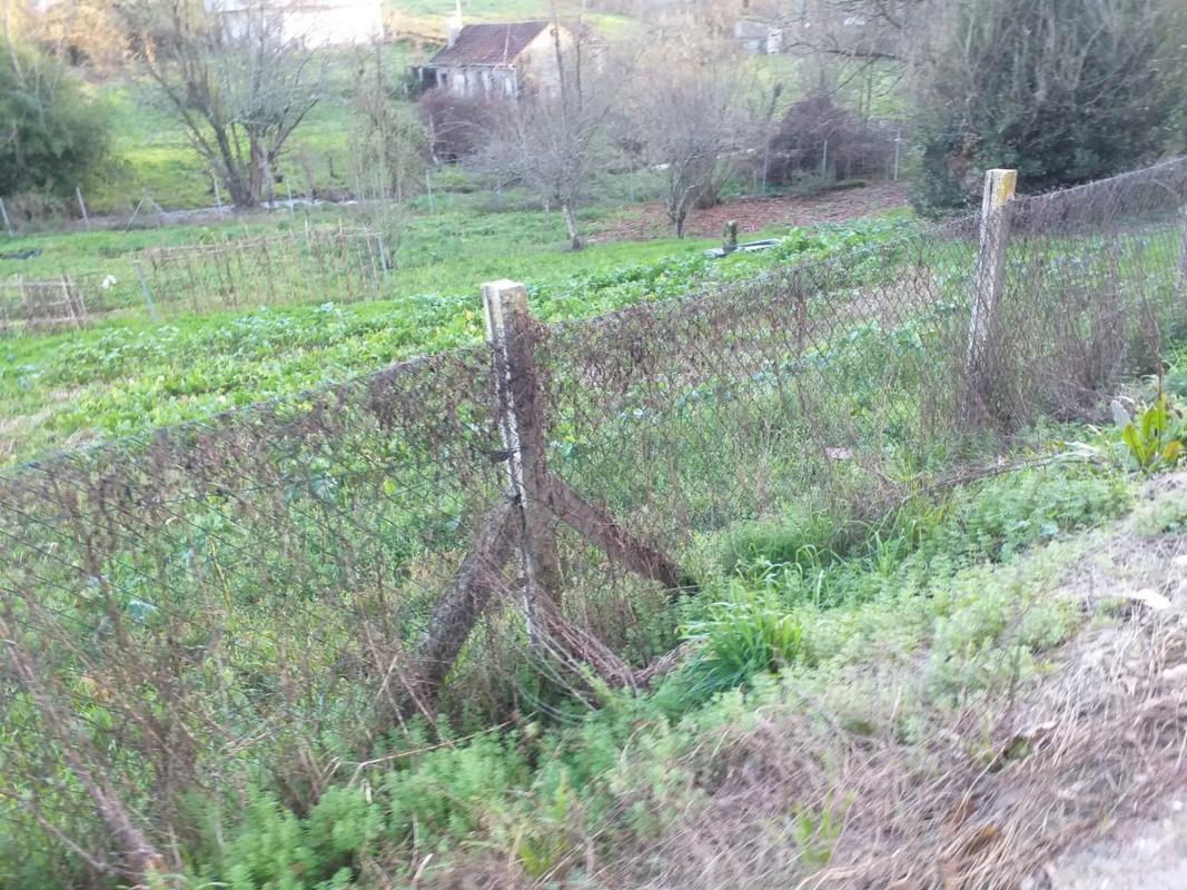 Land for sale in The Carballiño, Ourense photo 2