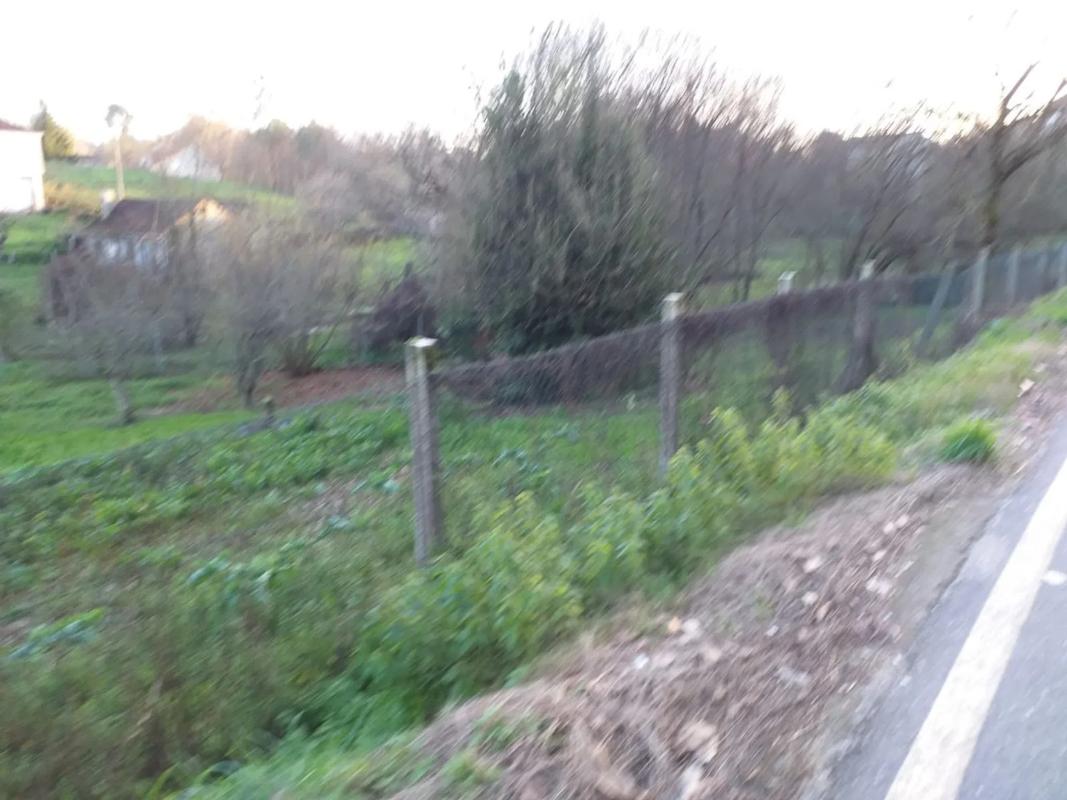Land for sale in The Carballiño, Ourense photo 4