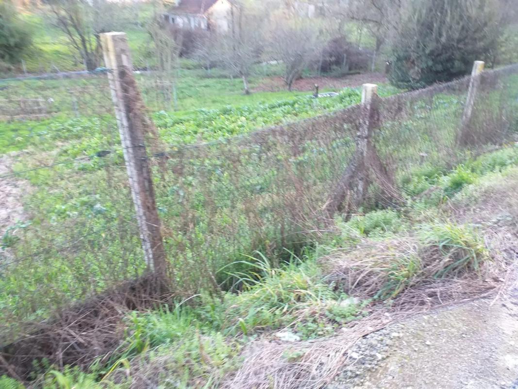 Land for sale in The Carballiño, Ourense photo 5