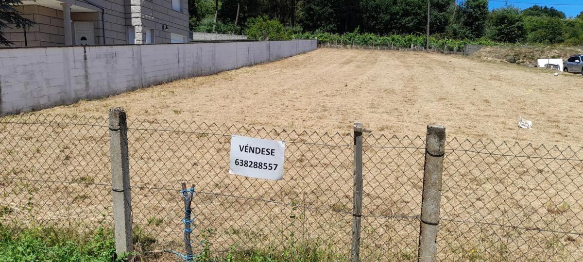Land for sale in The Carballiño, Ourense photo 5