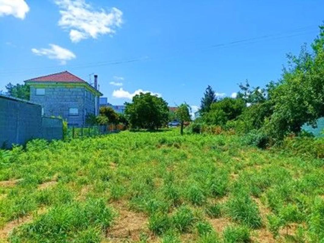 Land for sale in The Carballiño, Ourense photo 3