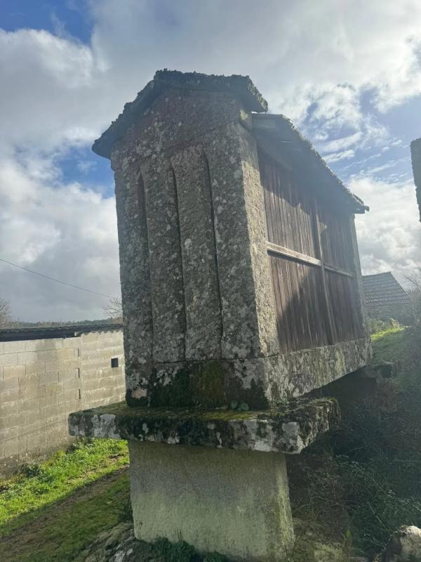 Terreno en venta en O Irixo, Ourense photo 4