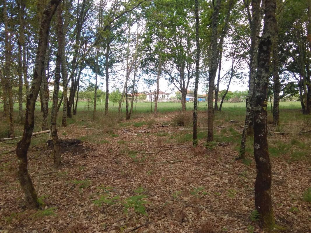 Land for sale in Paderne de Allariz, Ourense photo 2