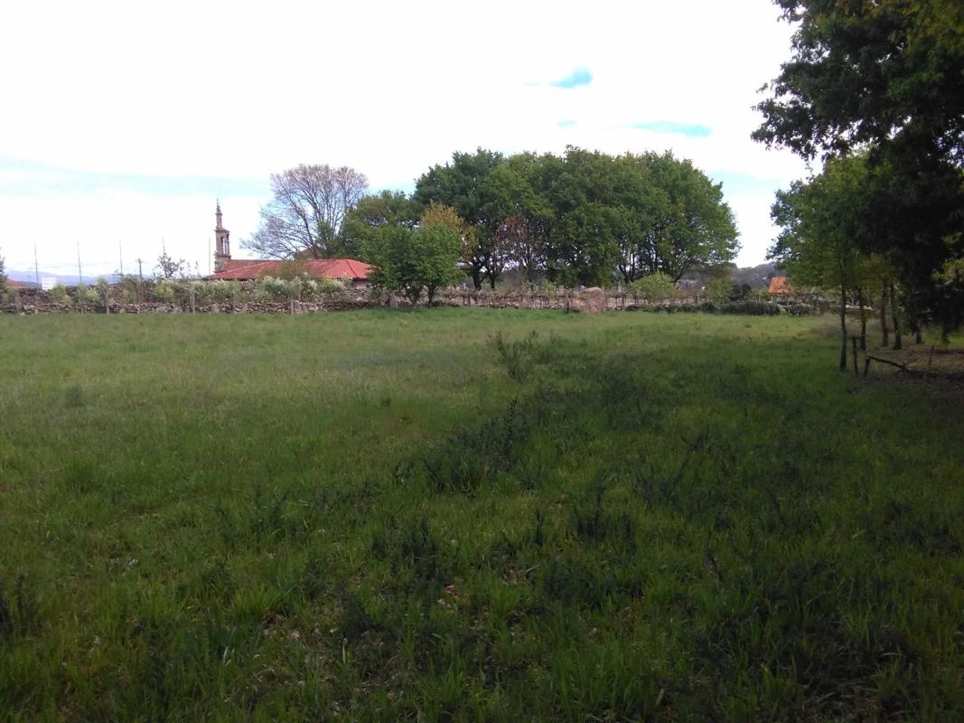 Land for sale in Paderne de Allariz, Ourense photo 4
