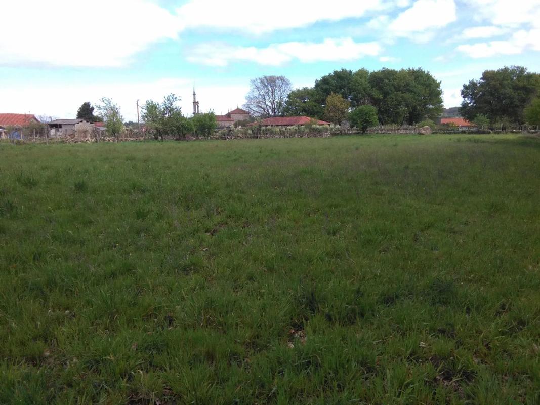 Land for sale in Paderne de Allariz, Ourense photo 5