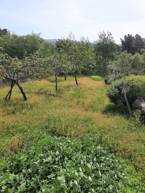 Terreno en venta en Paderne de Allariz, Ourense photo 1