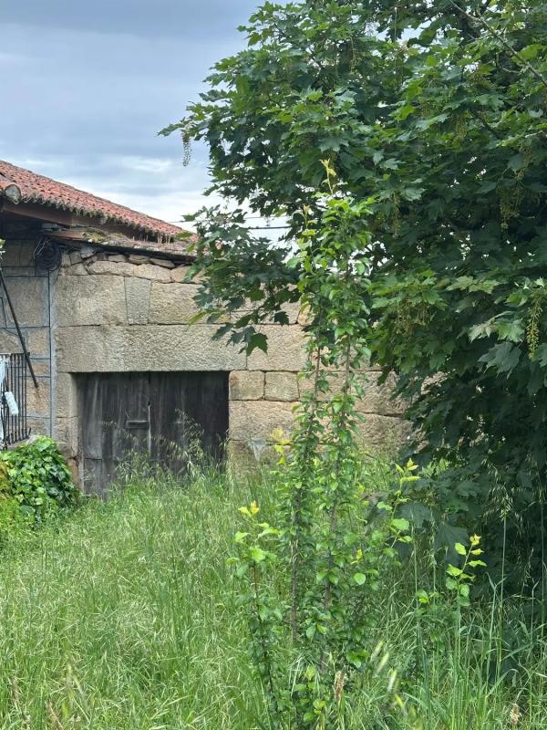 Terreno en venta en Paderne de Allariz, Ourense photo 5