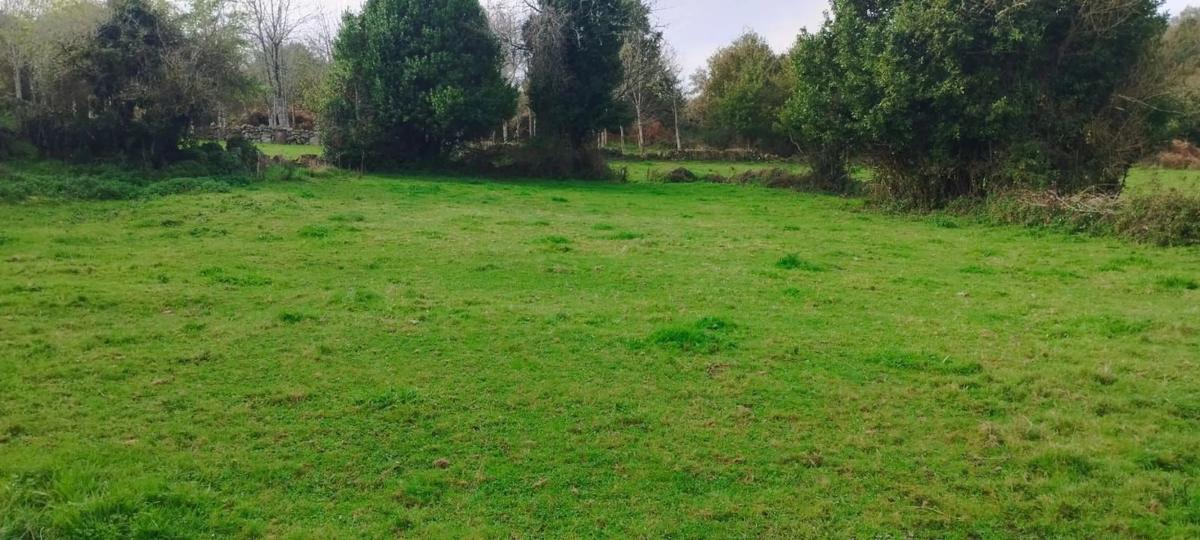 Terreno en venta en Paderne de Allariz, Ourense photo 4