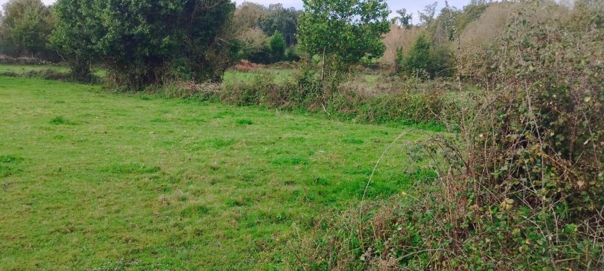 Terreno en venta en Paderne de Allariz, Ourense photo 5
