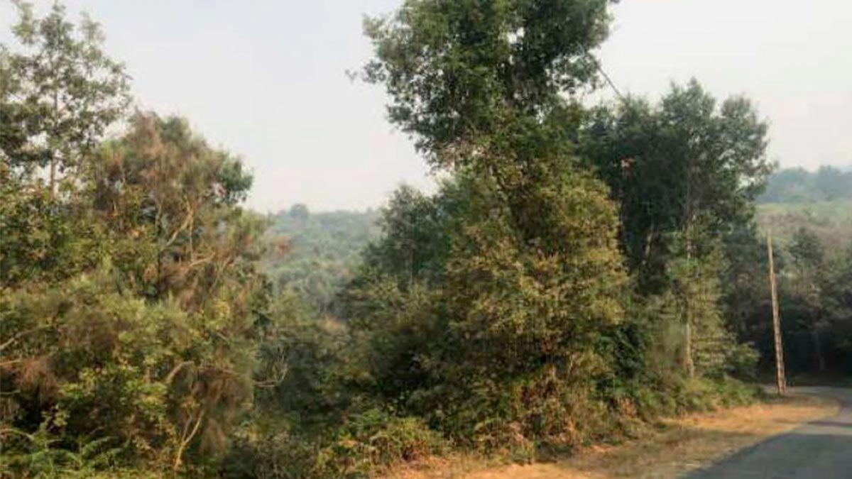 Land for sale in Padrenda, Ourense photo 1