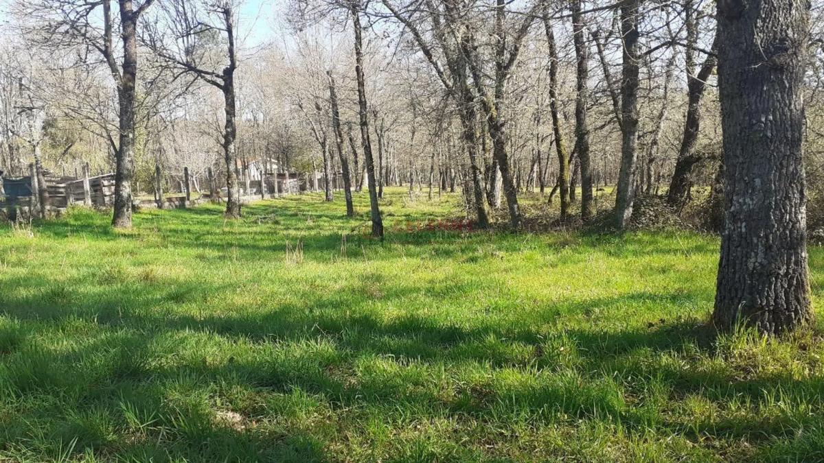 Terreno en venta en Paderne de Allariz, Ourense photo 1