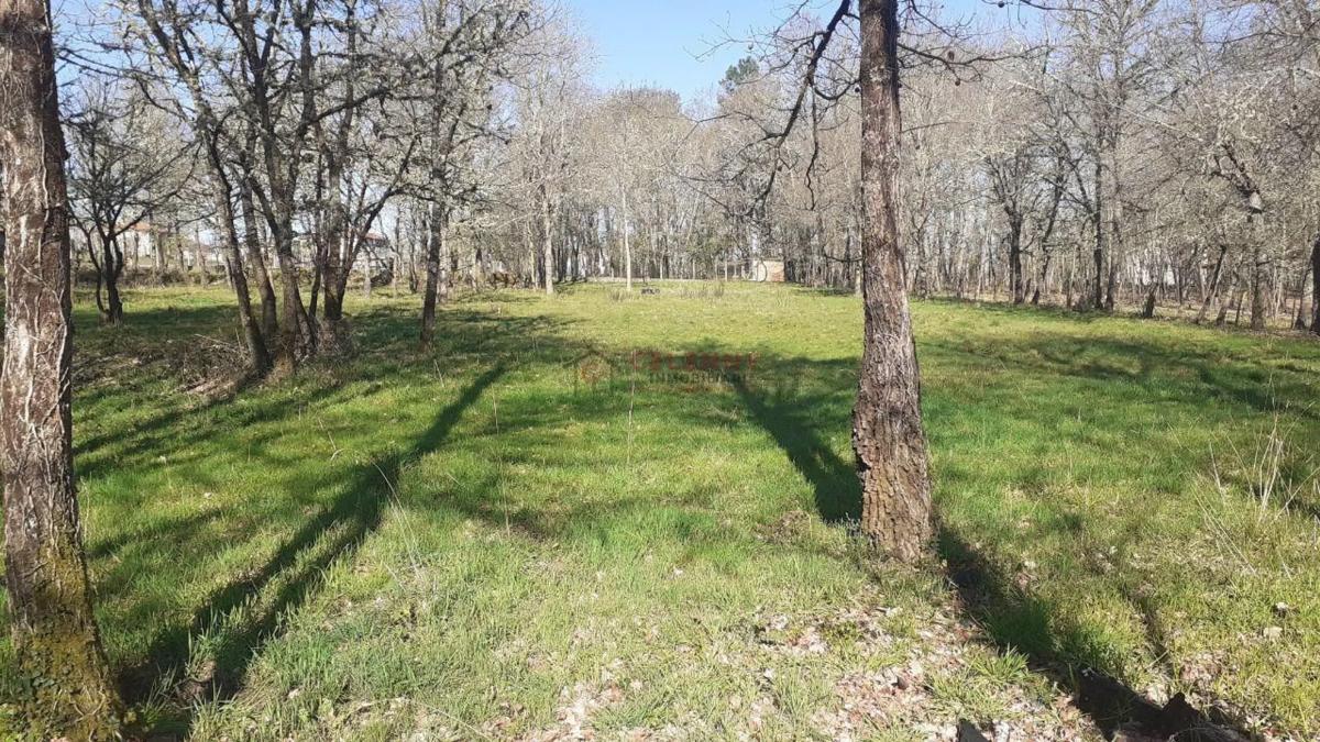 Terreno en venta en Paderne de Allariz, Ourense photo 2